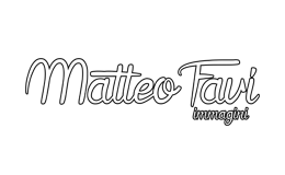 partner_logo_matteofavi